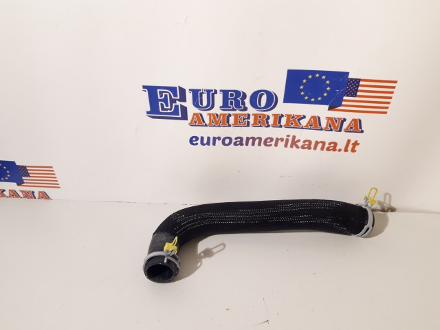Upper Hose